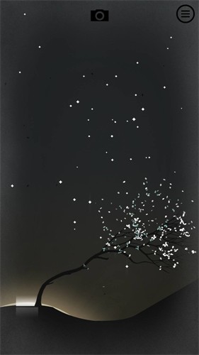 修剪艺术prune