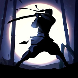 暗影格斗2全武器破解版