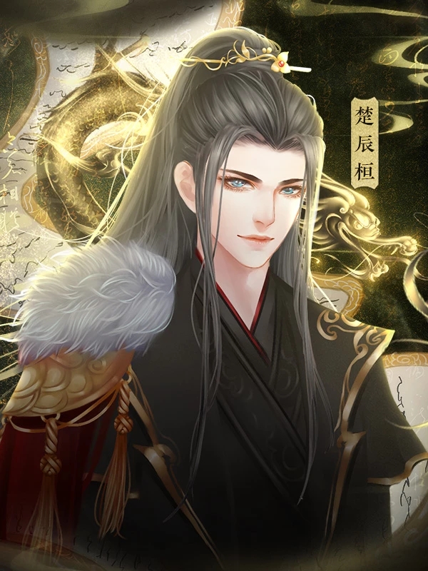 凰梦归途破解版
