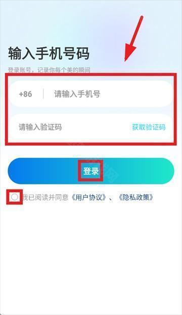 布偶相机