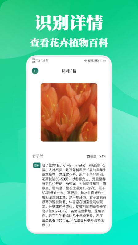 三叶草深坑