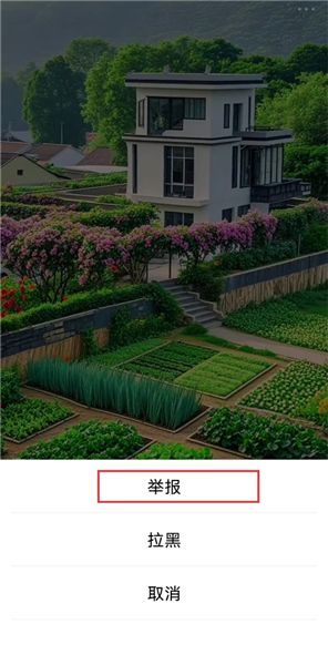 怎么举报视频配图2