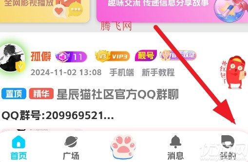 星辰猫