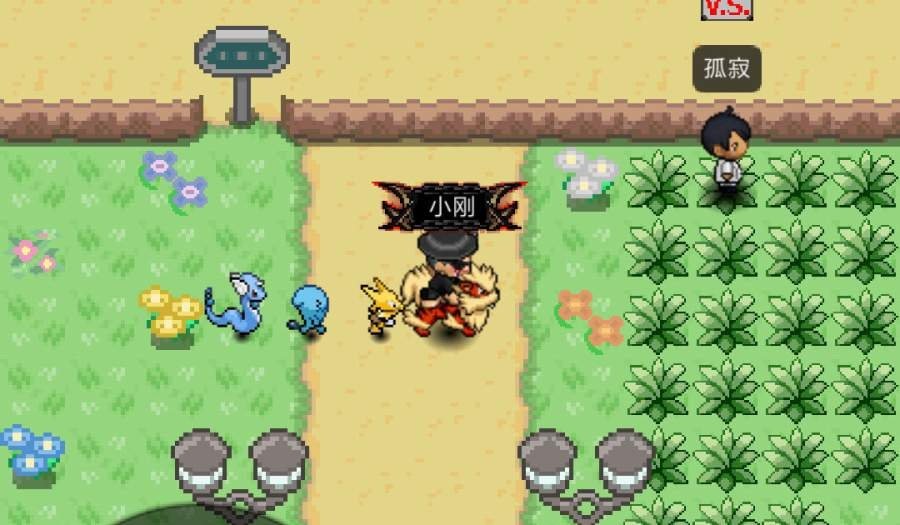 PokePlus自制版 1.0.8手机版