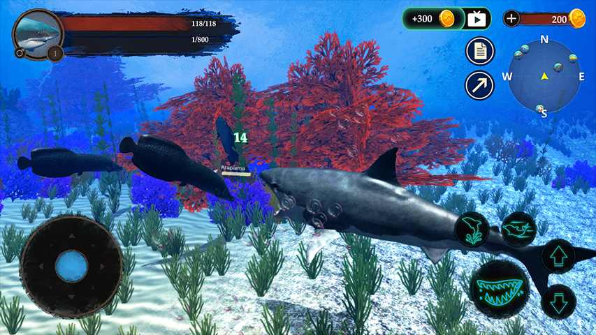 The Shark(鲨鱼模拟无限金币破解版) 1.0.1安卓版