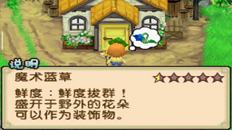 牧场物语双子村汉化版 2.5.2.1安卓版