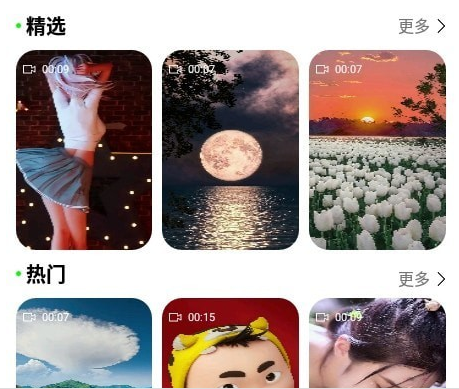飞花动态壁纸界面展示