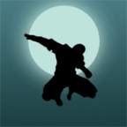 Rocket Ninja(火箭跳跃忍者无广告版) 2.1去广告版