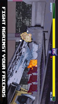 猫咪格斗