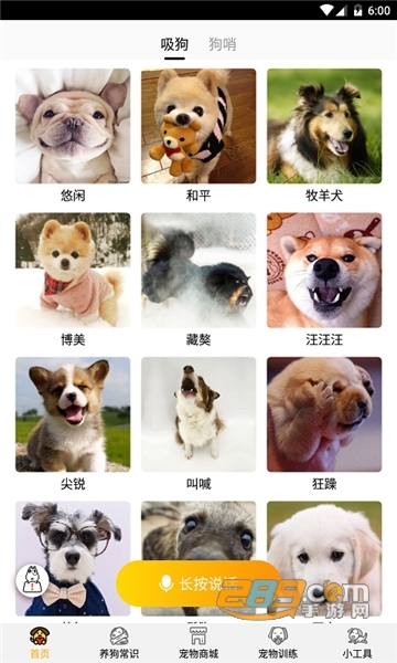 跑狗翻译器最新版