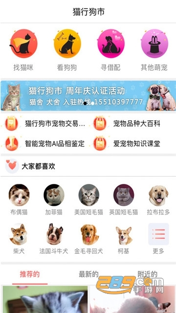 宠物市场猫行狗市免费领养平台v4.1.2安卓版
