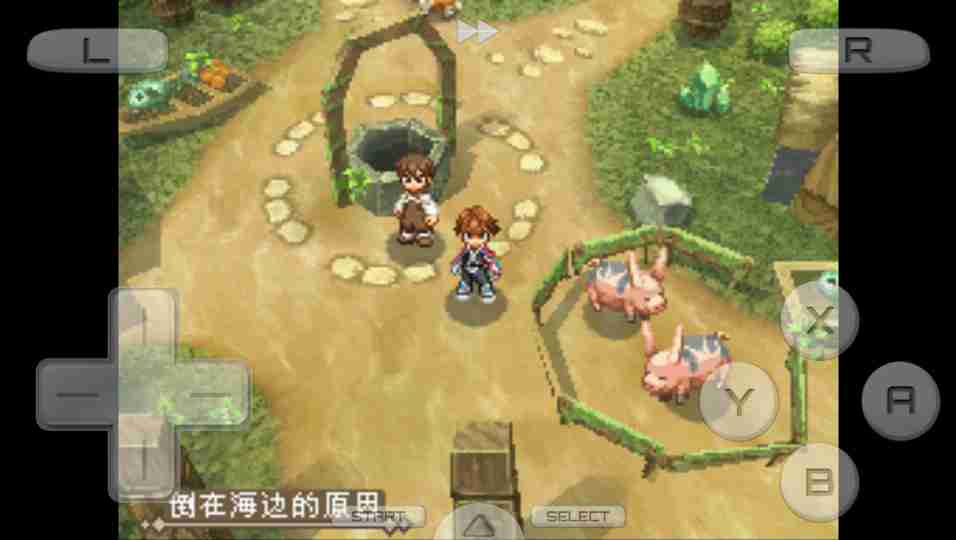 心灵传说（悟饭版）