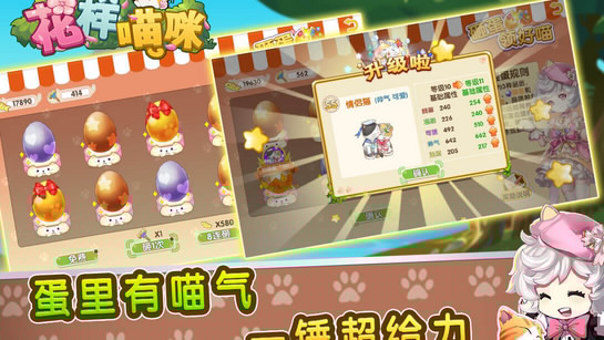 花样猫咪 TV版