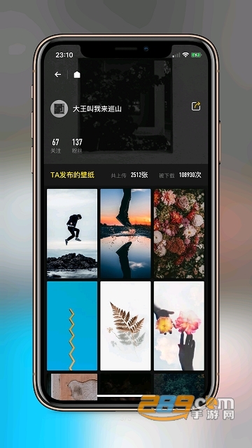 纸塘壁纸无水印版v1.5.14安卓版