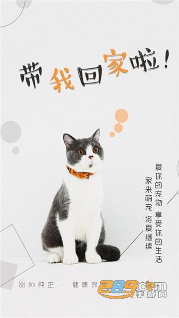 宠物市场猫行狗市免费领养平台v4.1.2安卓版