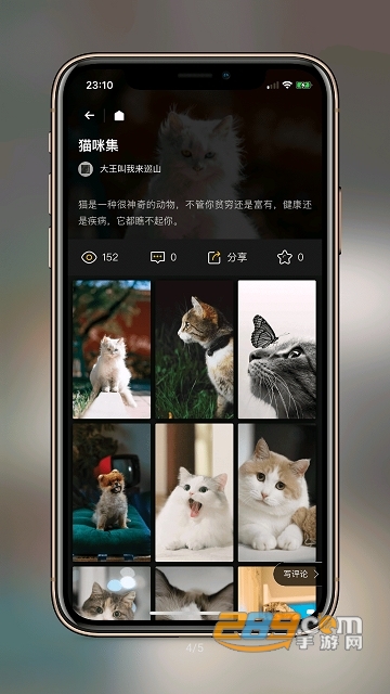 纸塘壁纸无水印版v1.5.14安卓版