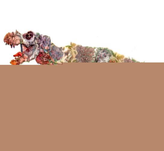 Deep Art Effects