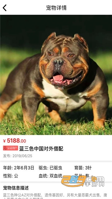 宠物市场猫行狗市免费领养平台v4.1.2安卓版