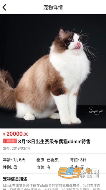 宠物市场猫行狗市免费领养平台v4.1.2安卓版