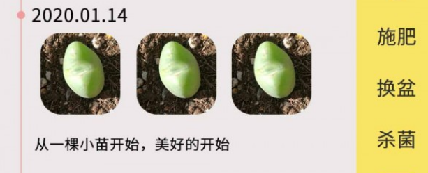 多肉花草日记界面示意图