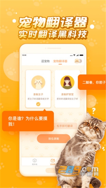 逗猫咪6.6.6.2