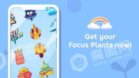 口袋植物Focus