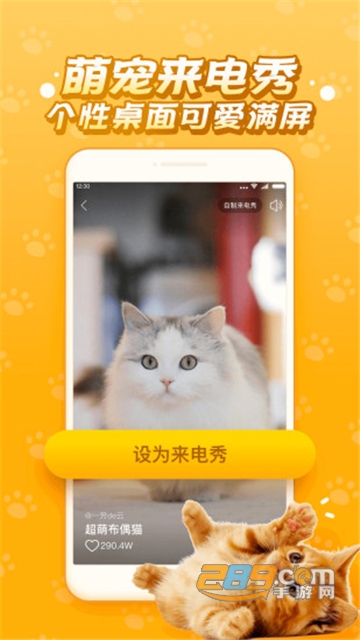 逗猫咪6.6.6.2