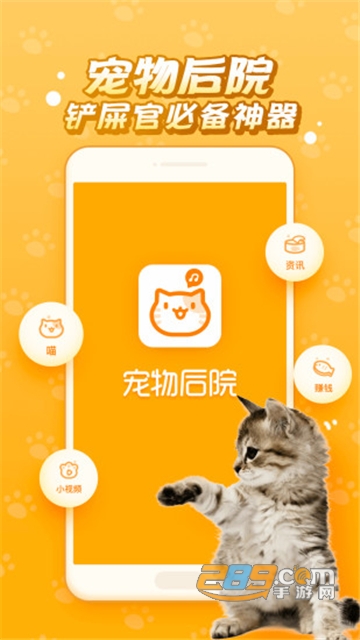 逗猫咪6.6.6.2