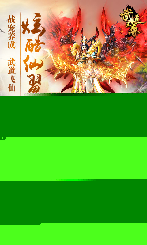 武道至尊 BT版