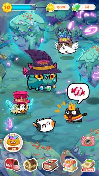 Fancy Cats