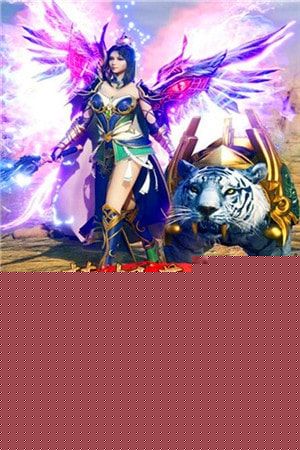 梦想英雄 九游版