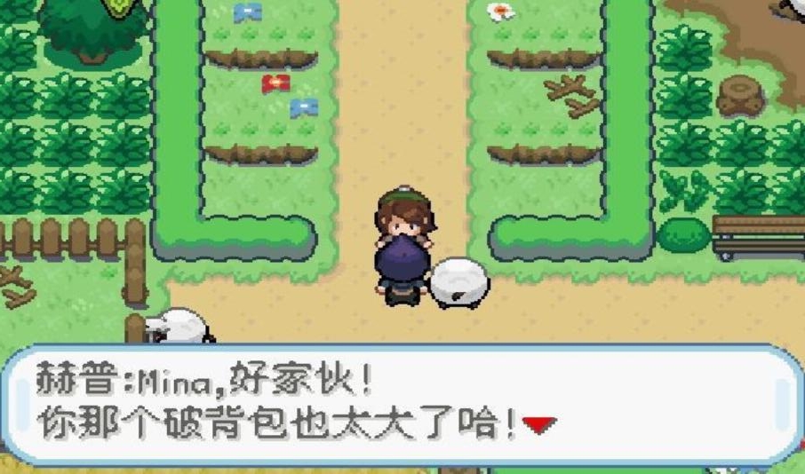 口袋妖怪剑盾单机移植版 2020.11.25.11安卓版