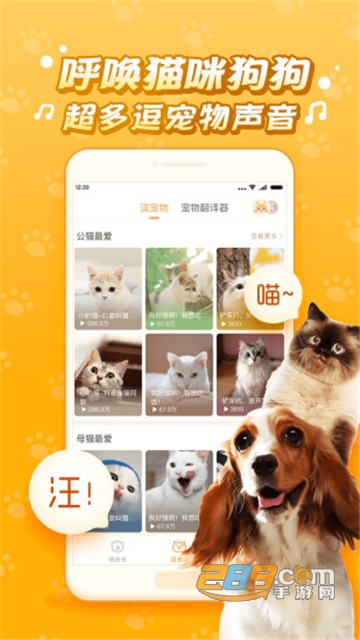 逗猫咪6.6.6.2