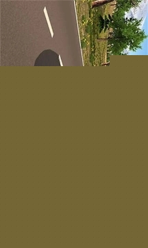 警车追逐者
