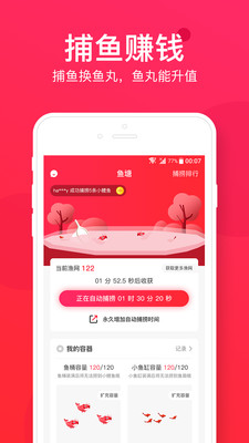 小鲤鱼