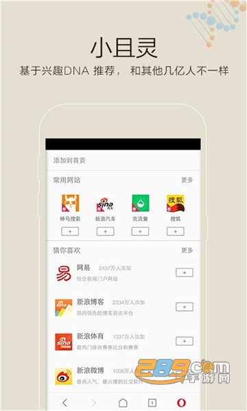opera浏览器v5.3.0