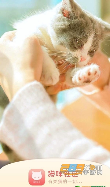 猫咪社区APP