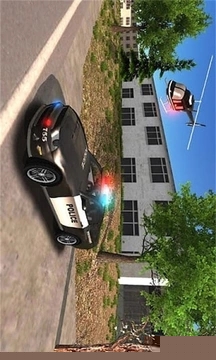 警车追逐者