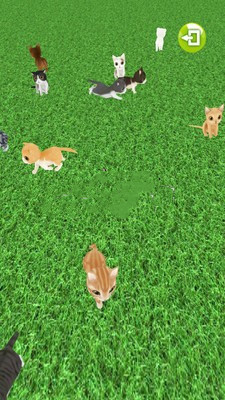 一起来捉猫