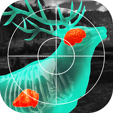 Wild Hunt
