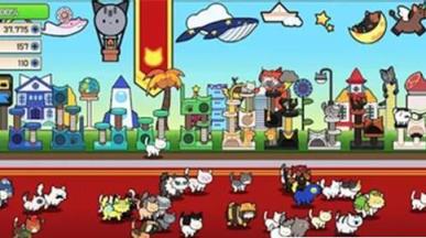 猫语花香app