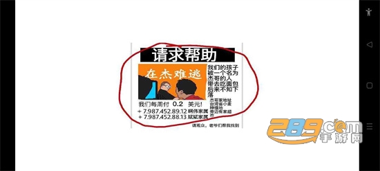 小猪佩奇的午夜后宫杰哥版最新版v1.0最新版