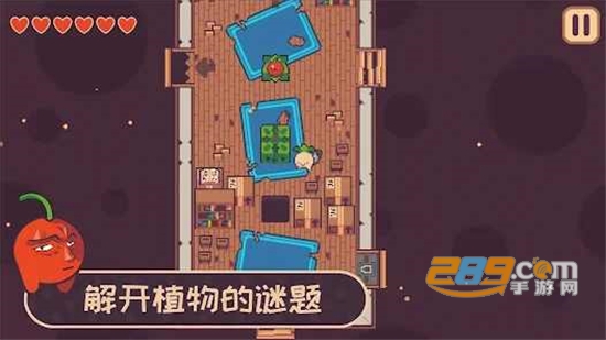 大头菜小子逃税了下载免费完整版v1.1.9手机版