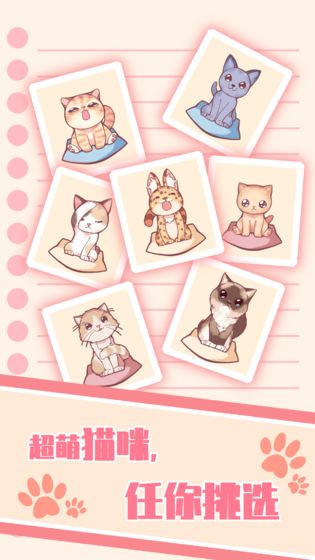 猫咪养成APP