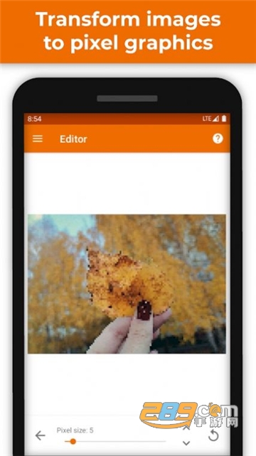 PhotoToPixels软件下载安卓最新版v3.10安卓版