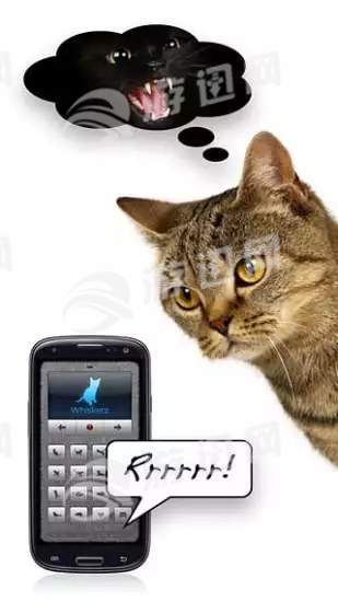猫语翻译器