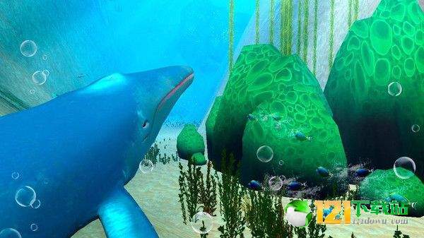 蓝鲸海洋生物模拟3D游戏APP