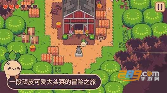大头菜小子逃税了下载免费完整版v1.1.9手机版
