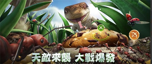 小小蚁国台服