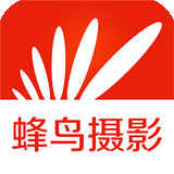 蜂鸟摄影